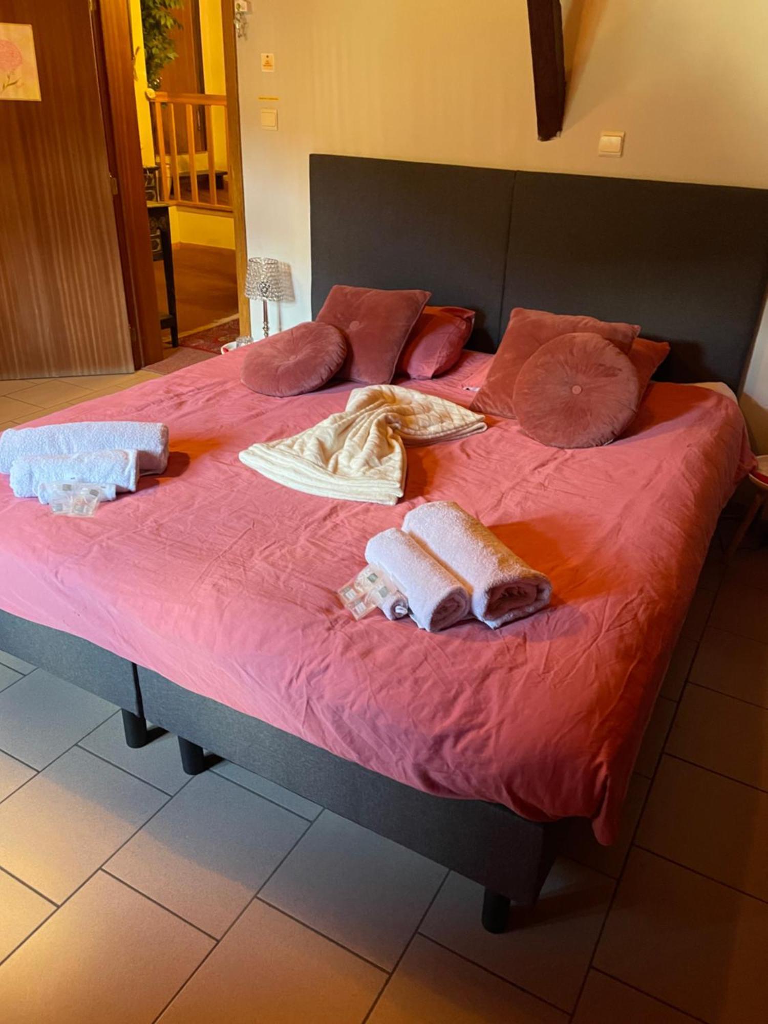 B&B Foret D'Animaux Bouillon Extérieur photo